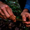 Corso Bushcraft - L'arte del saper vivere nella natura - due giorni e una notte - immagine 4