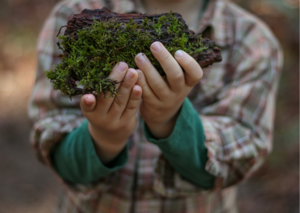 Abbonamento mensile - One Day - Family Experience - immagine 2
