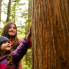 Abbonamento mensile - One Day - Family Experience - immagine 8