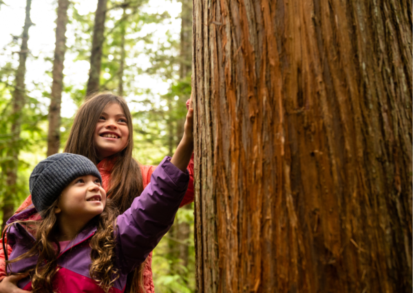 Abbonamento mensile - One Day - Family Experience - immagine 8